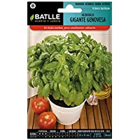 Los mejores  - Semillas Aromáticas - Albahaca Gigante Genovesa - Batlle